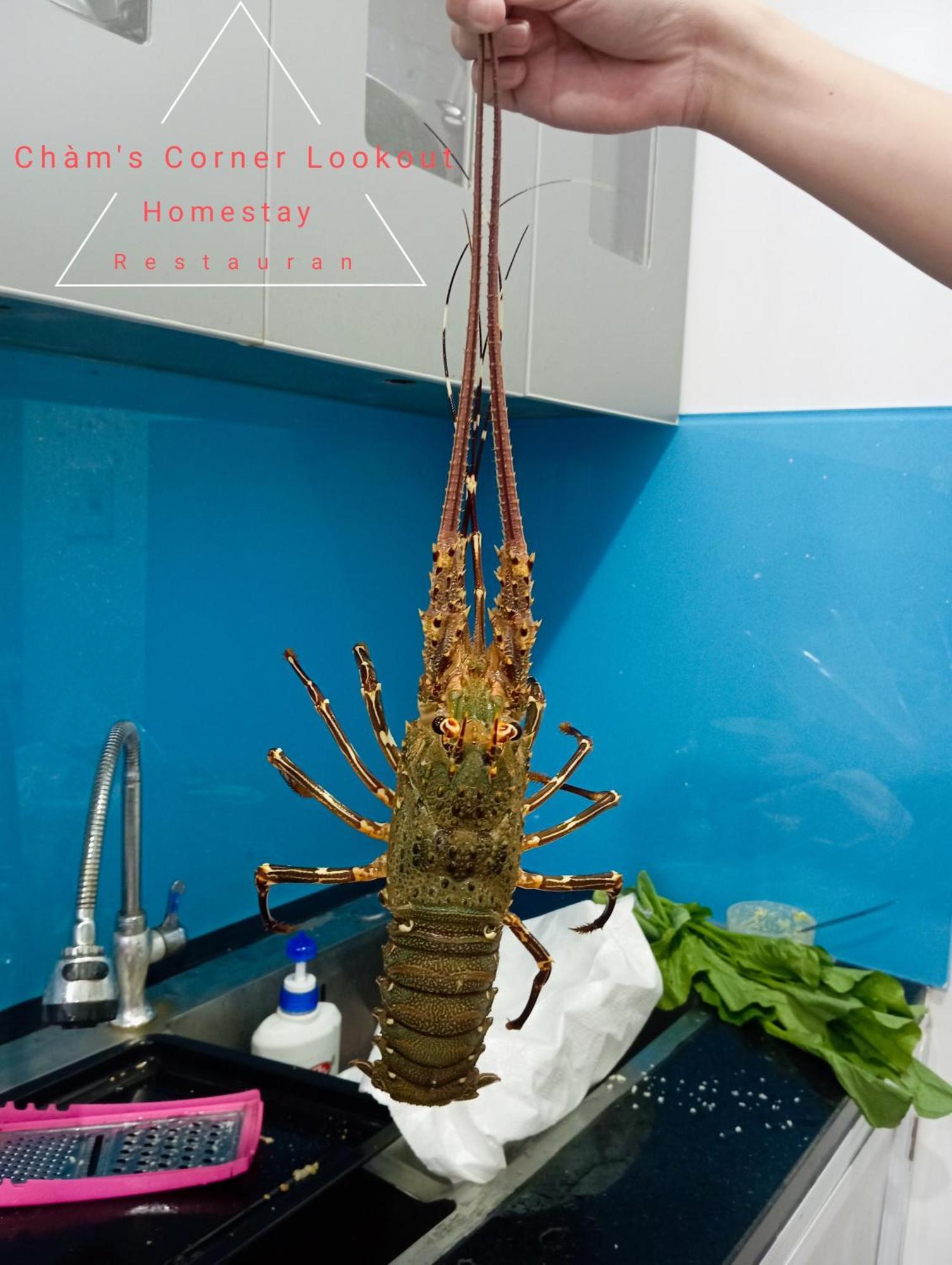 Cham'S Corner Lookout Homestay & Restaurant Tân Hiệ エクステリア 写真