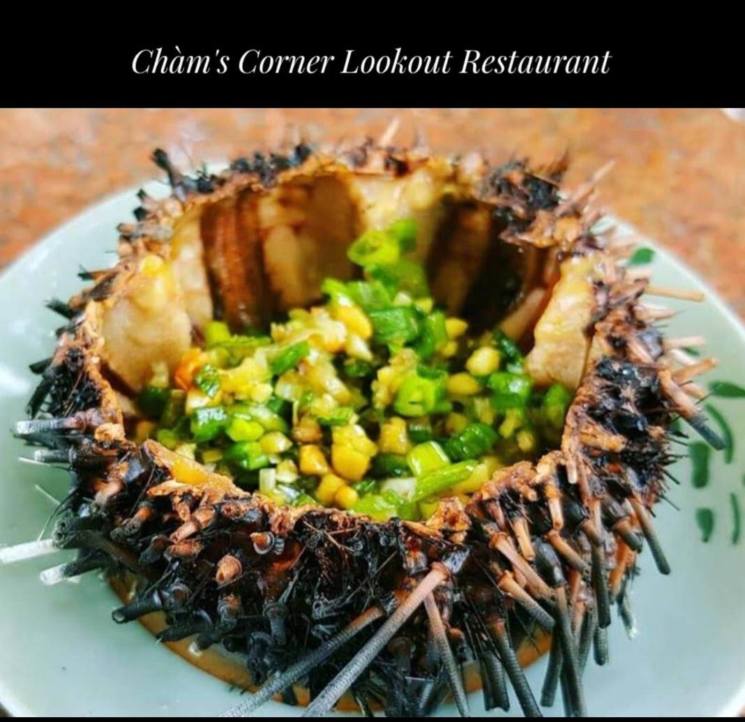 Cham'S Corner Lookout Homestay & Restaurant Tân Hiệ エクステリア 写真